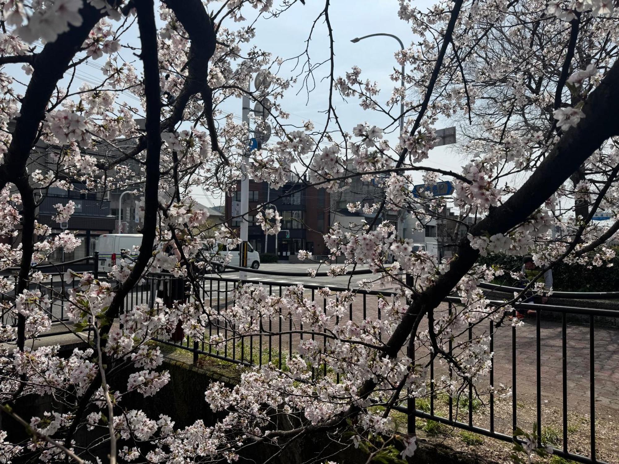 Mont-モン-Kamogawa Stay And Hotel كيوتو المظهر الخارجي الصورة